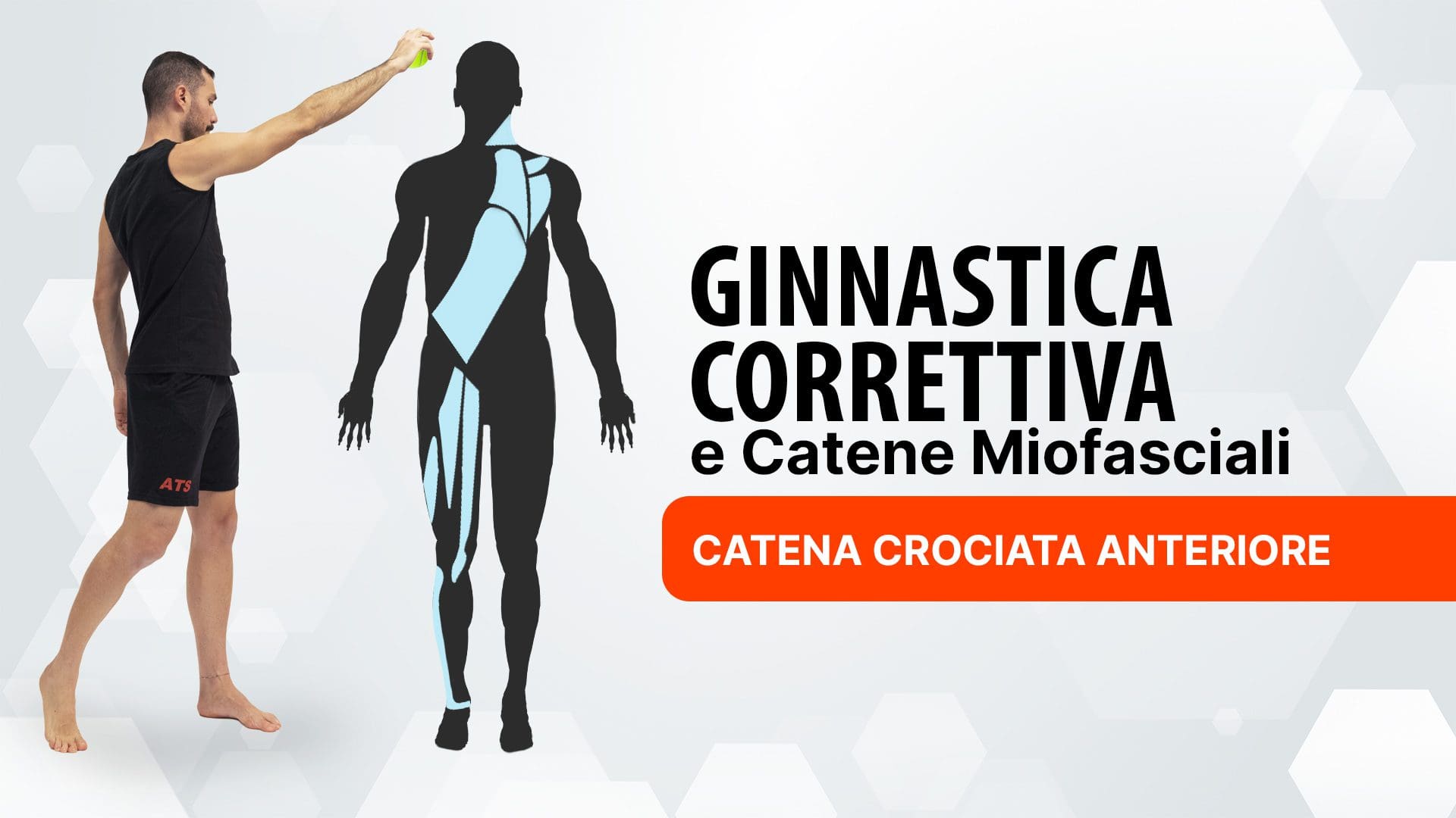 Ginnastica Correttiva e Catene Miofasciali: Catena Crociata Anteriore