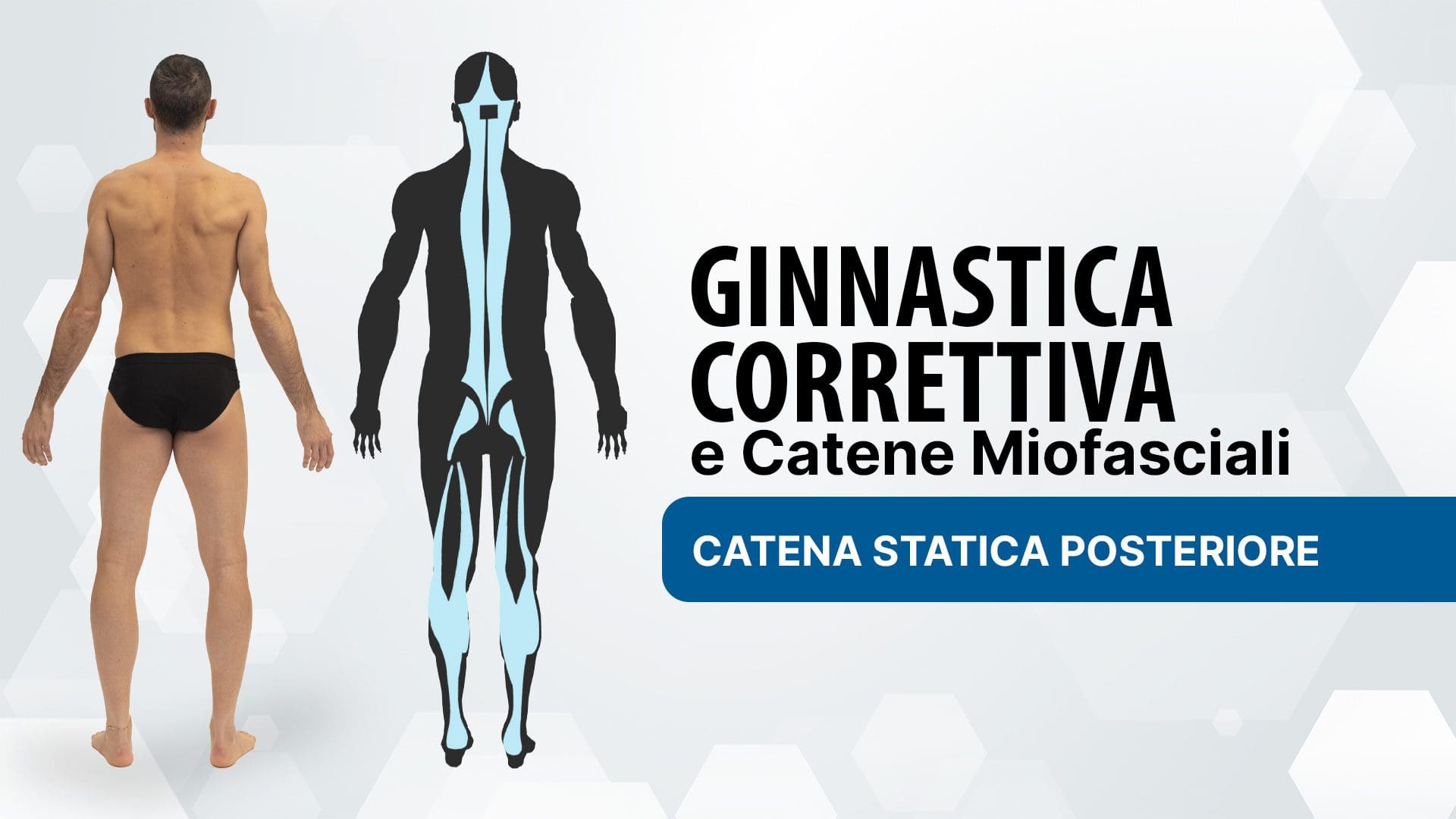 Ginnastica Correttiva e Catene Miofasciali: Catena Statica Posteriore