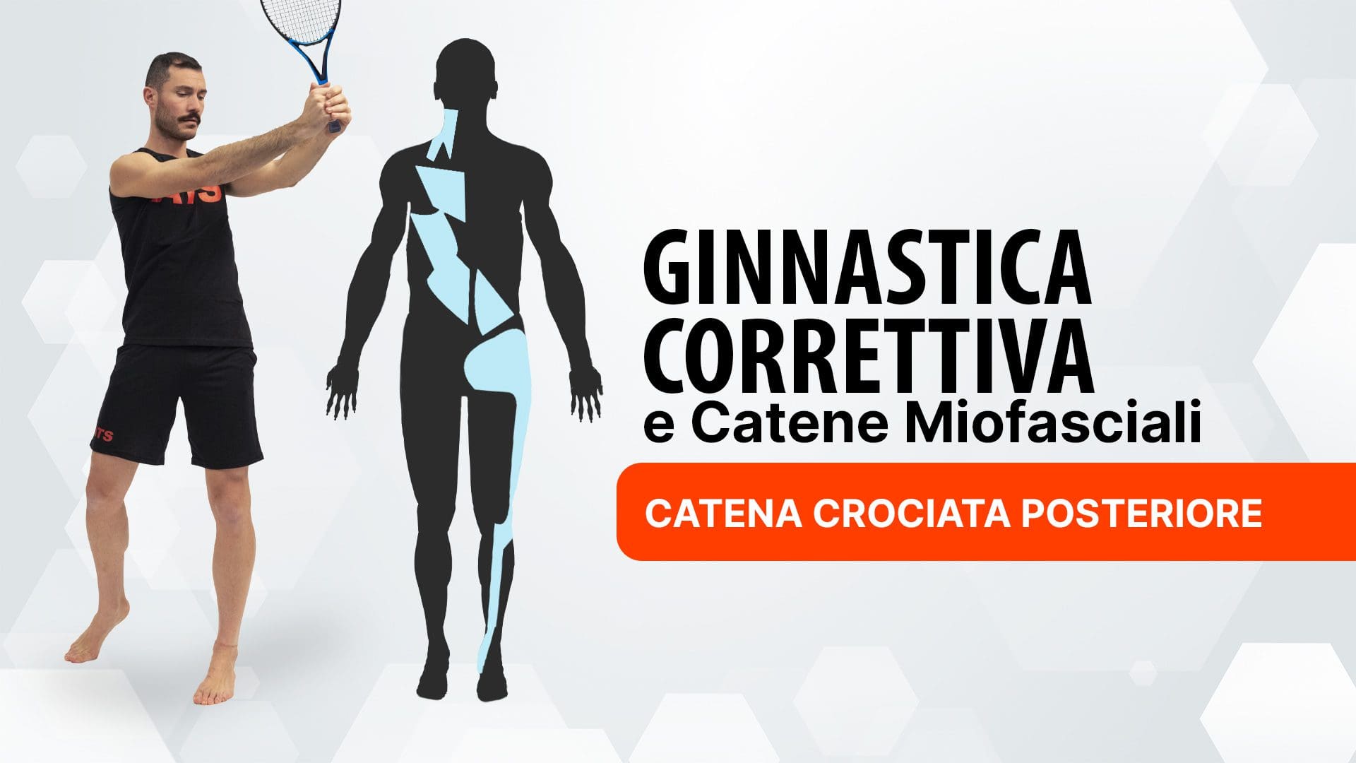 Ginnastica Correttiva e Catene Miofasciali: Catena Crociata Posteriore